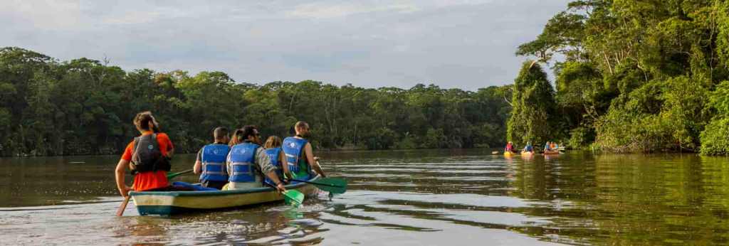 CostaRica Tortuguero wildlife nature