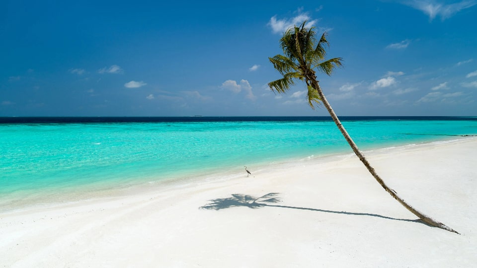 _Jumeirah Maldives Olhahali Island - Beach