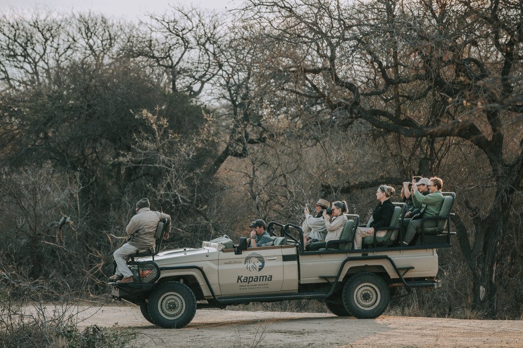 Game Drive Kapama Private Game Reserve, South Africa, Safari