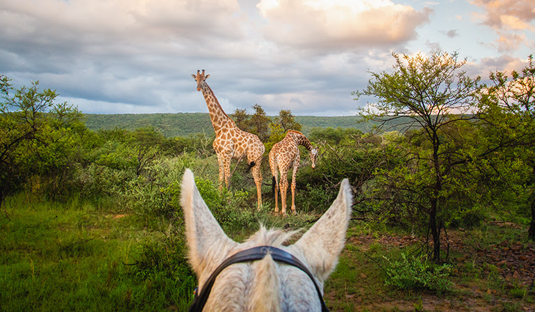 Waterberg, South Africa