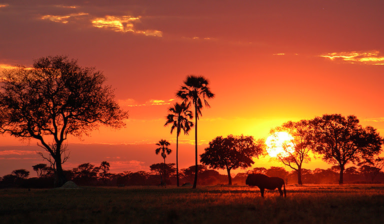 Hwange, Zimbabwe