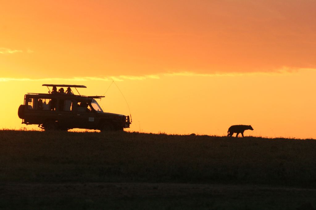 Safari adventure in Kenya