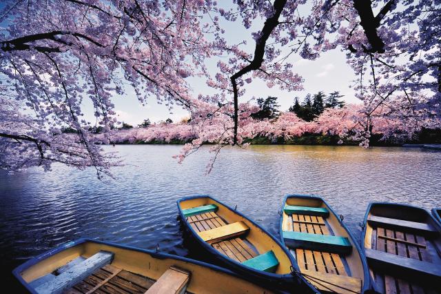 Hirosaki_Aomori_Japan